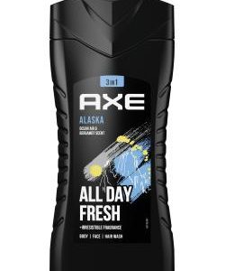 Axe Alaska 3in1 Duschgel